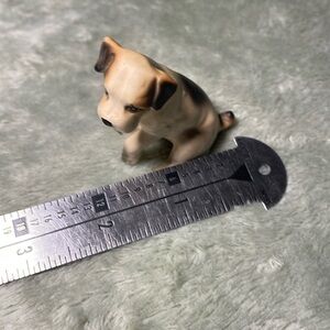 Mom’s Dog Collection - Sequoia National Park, California